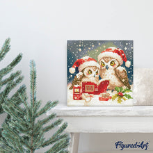 Carica l&#39;immagine nel visualizzatore di Gallery, Mini Diamond Painting 25x25cm Gufi di Babbo Natale che leggono