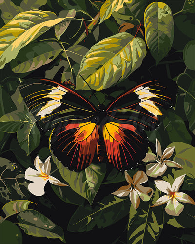 Dipingere con i numeri - Farfalla Heliconius Erato Figured'Art