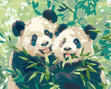 Carica l&#39;immagine nel visualizzatore di Gallery, Dipingere con i numeri - Panda che mangiano bambù Figured&#39;Art