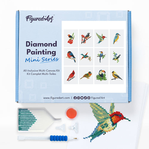 Mini Set Diamond Painting - Uccelli