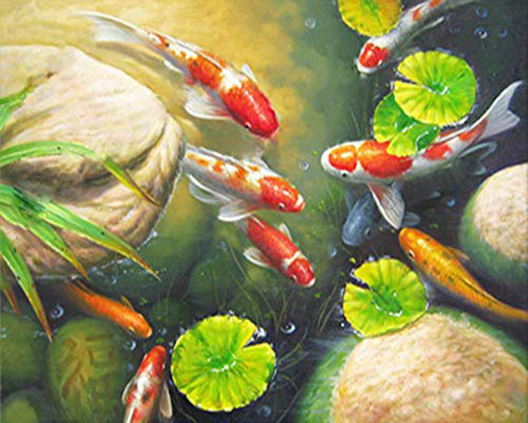 Koi Fish PAINT per NUMERO Kit Adulti , Pianta di loto bianco nel lago , Kit  di pittura