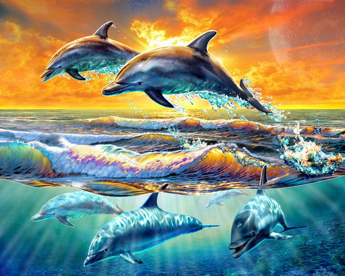 Dipingere con i numeri Delfini Figured'Art intermedia nuovi arrivi animali pesce delfini paesaggi