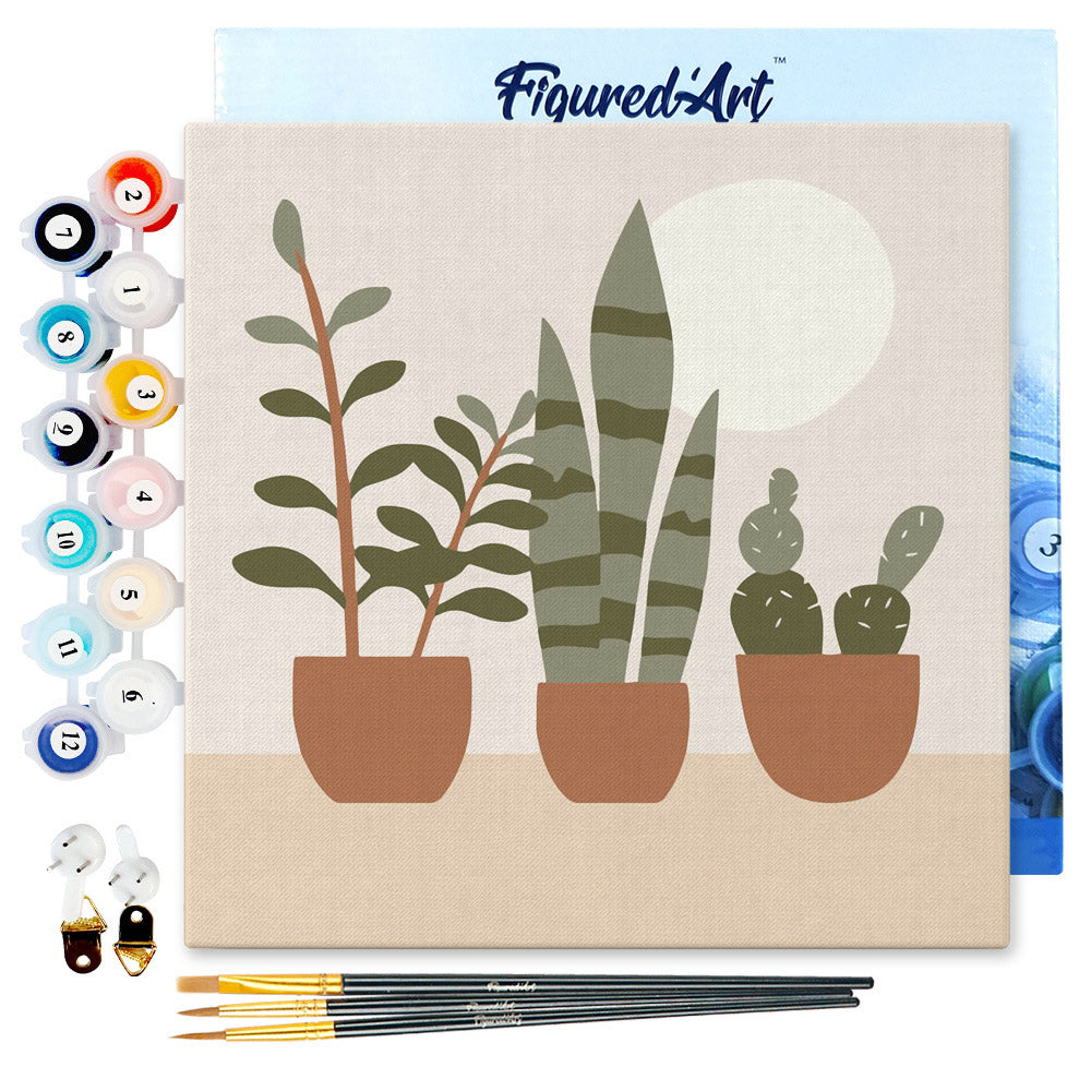 Mini Kit da Dipingere con i Numeri 20x20cm con cornice Succulente – Figured' Art