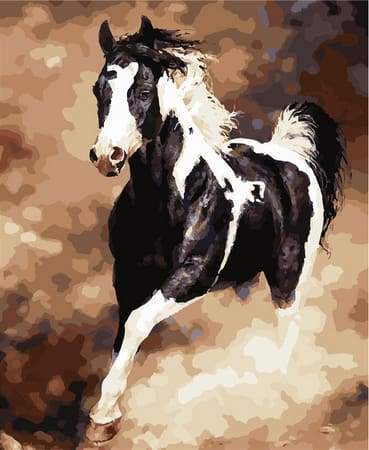 Dipingere con i numeri - Grande Cavallo In Bianco E Nero – Figured'Art