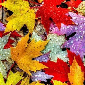 Diamond Painting - Foglie D'Autunno