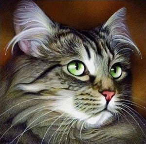 Diamond Painting - Ritratto Di Gatto