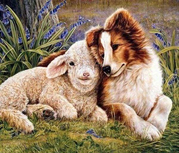 Diamond Painting - Cane E Pecora