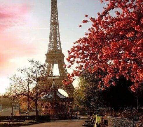 Diamond Painting - Torre Eiffel E Fiori Rossi