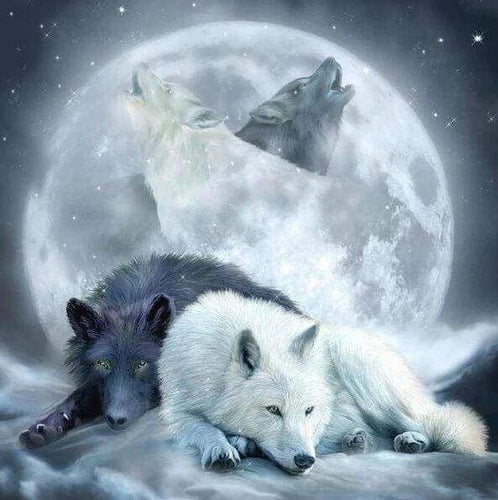Diamond Painting - Lupi Che Ululano Alla Luna