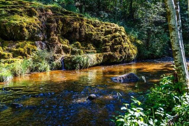 Dipingere con i numeri - Fiume Di Pesca