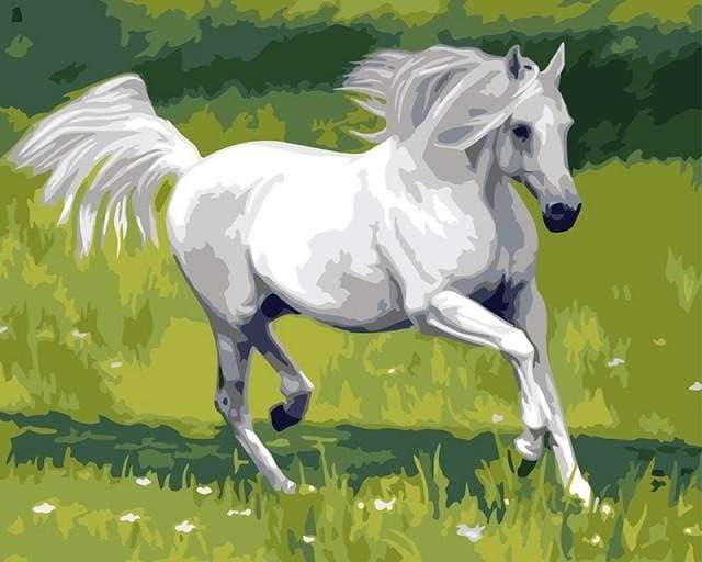 Dipingere con i numeri - Cavallo Bianco Nel Campo – Figured'Art